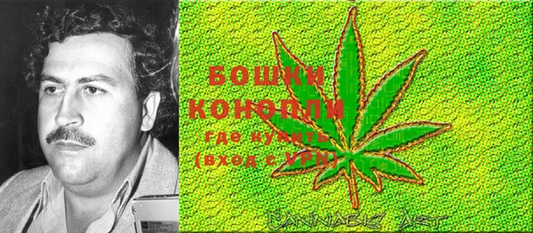 кокс Дмитров