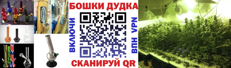Марихуана OG Kush  Чегем 